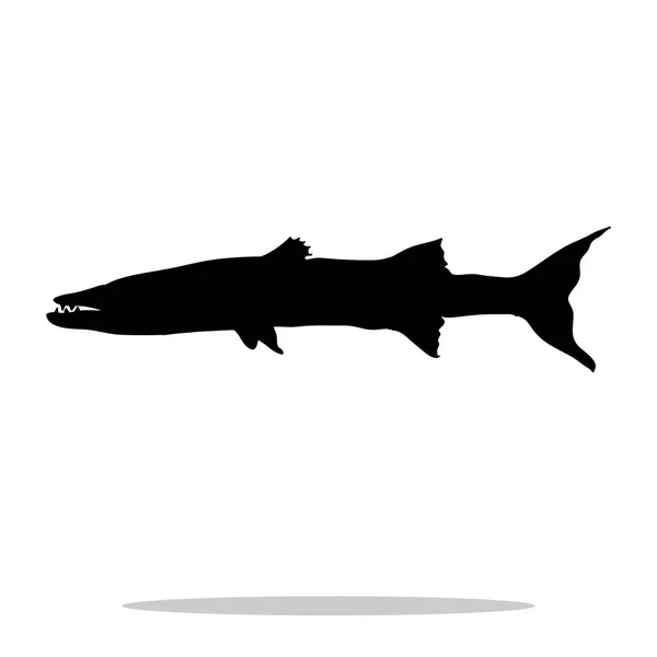 바라쿠다 물고기 검은 실루엣 수생 동물 — 스톡 벡터