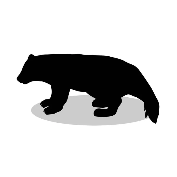 Vielfraß Bär Wildtiere schwarze Silhouette Tier — Stockvektor