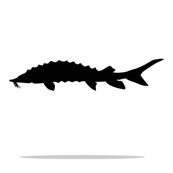 Sturgeon fish black silhouette aquatic animal — Stock Vector