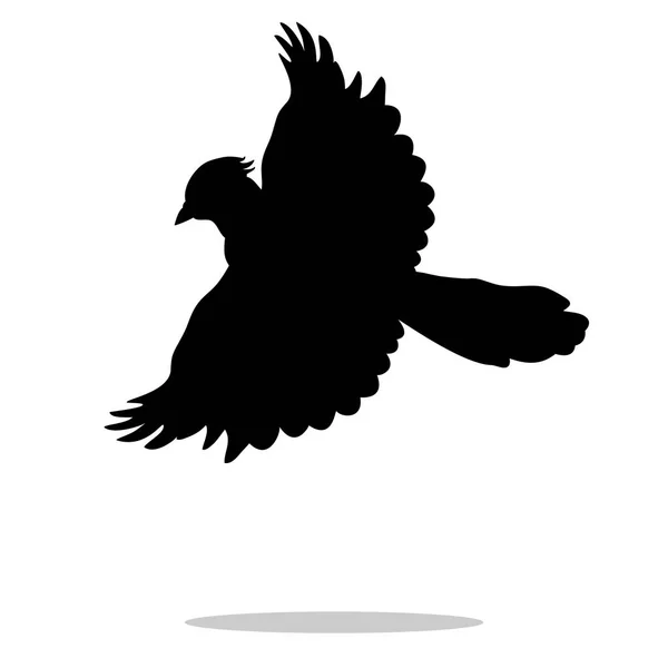 Jay oiseau silhouette noire animal — Image vectorielle