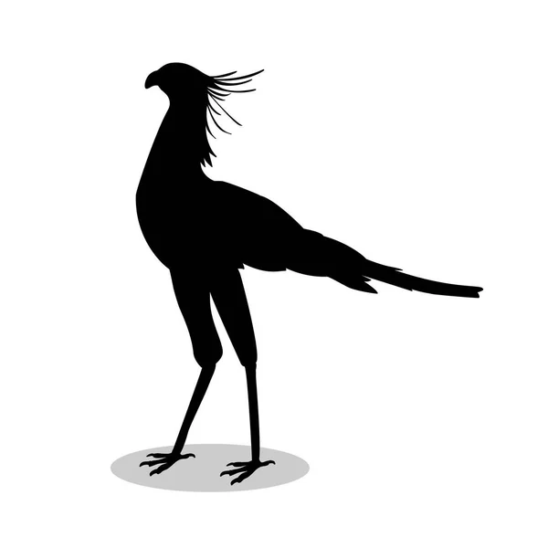 Sekretär Vogel schwarze Silhouette Tier — Stockvektor