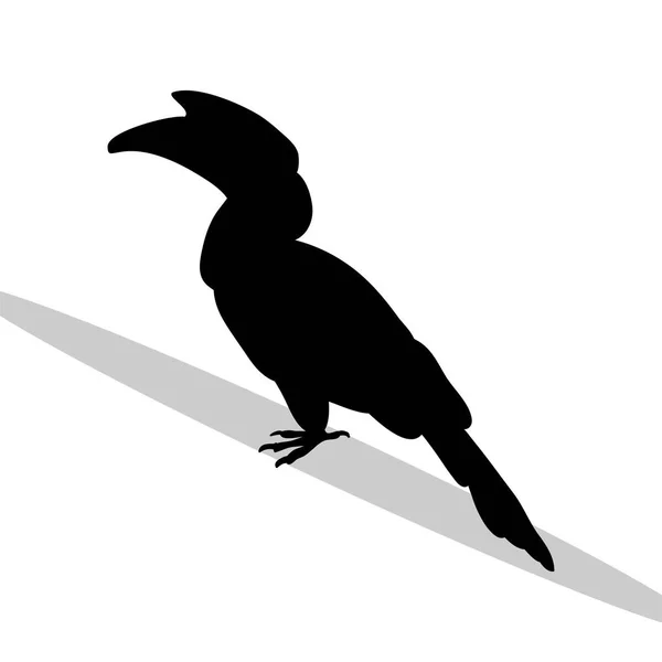 Hornbill uccello nero silhouette animale — Vettoriale Stock