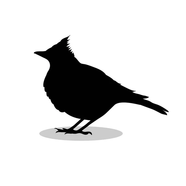 Veldleeuwerik leeuwerik vogel zwarte silhouet dier — Stockvector