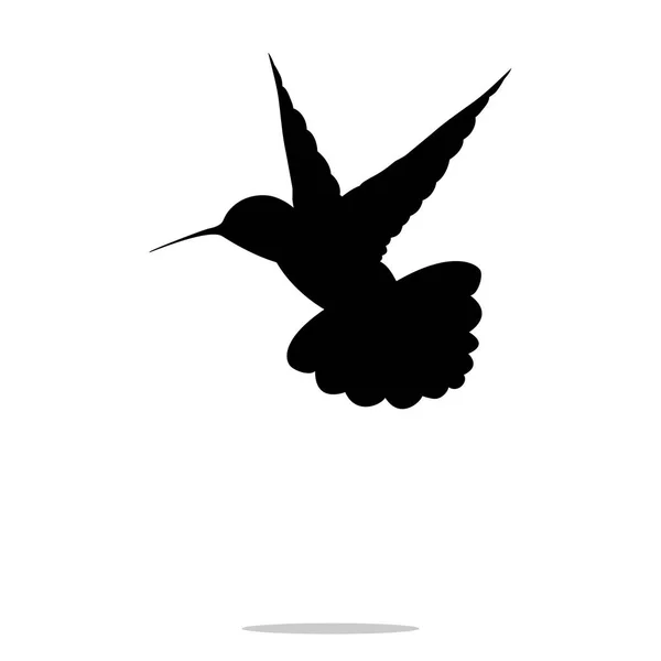 Kolibri schwarze Silhouette Colibri Vogel Tier — Stockvektor