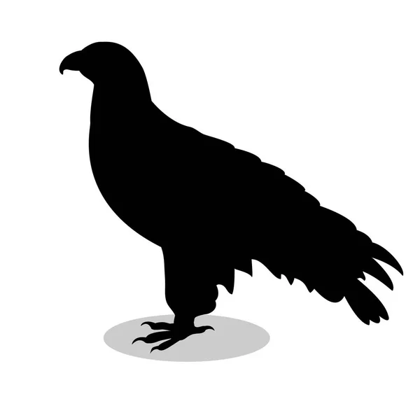 Orlan halcón pájaro silueta negro animal — Vector de stock