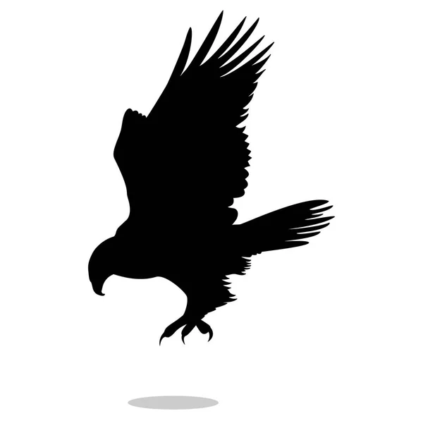 Halcón águila halcón pájaro silueta negro animal — Vector de stock