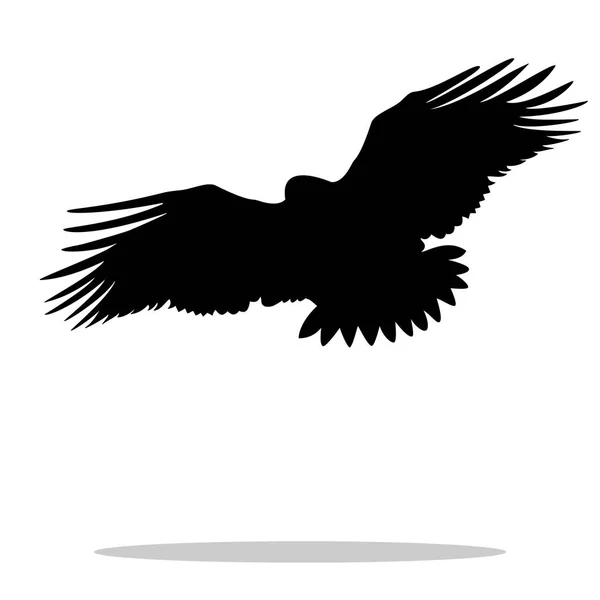 Halcón águila águila real pájaro silueta negra animal — Vector de stock