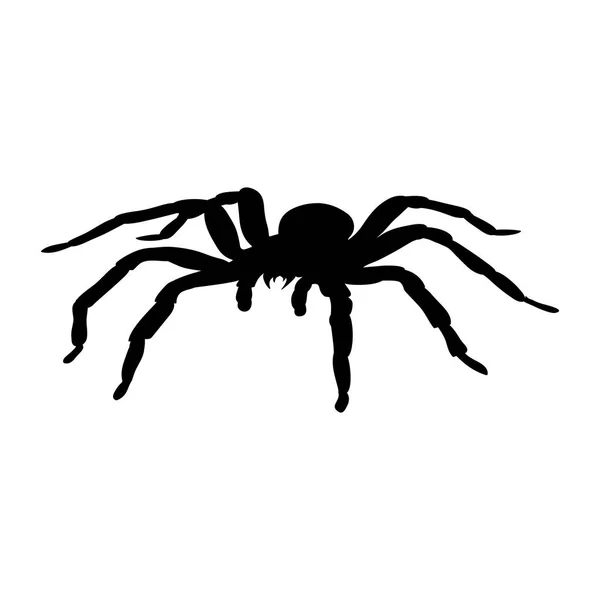 Spider monster silhouet oude mythologie fantasie — Stockvector