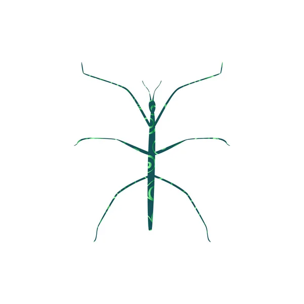Stick inseto espiral padrão cor silhueta animal — Vetor de Stock