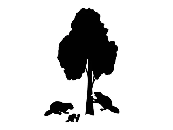 Castor é mordiscando família castor árvore — Vetor de Stock