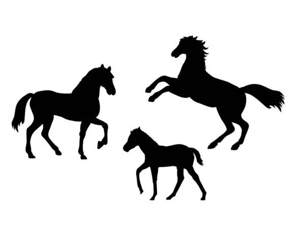 Horse family. Silhouettes of animals — Stock Vector