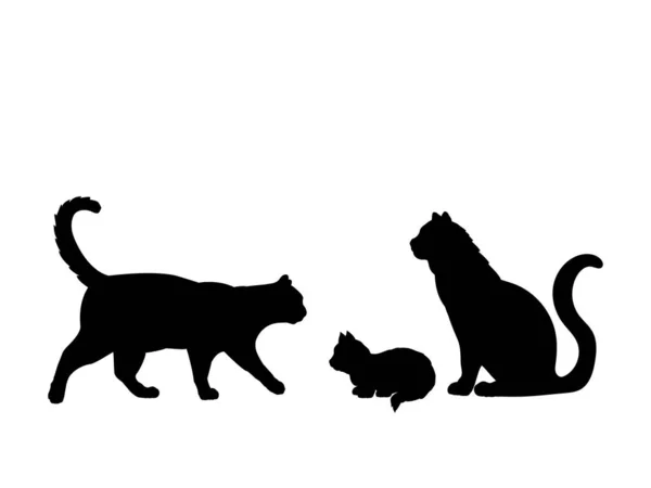 Cat family. Silhouettes of pet animals — Stock Vector