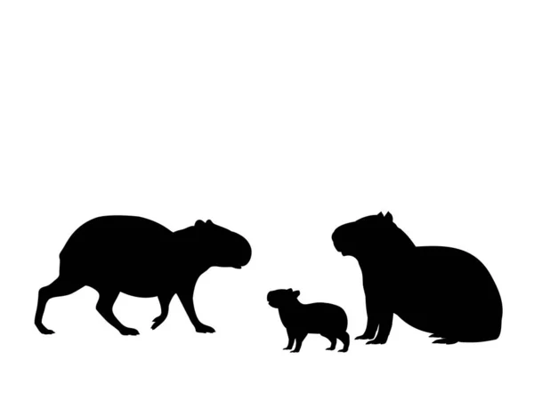 Kapybarská rodina. Siluety zvířat — Stockový vektor