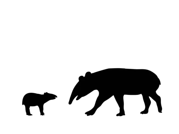 Tapir family. Silhouettes of animals — Stock Vector