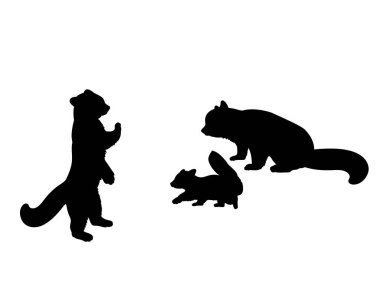 Red Panda family. Silhouettes of animals clipart