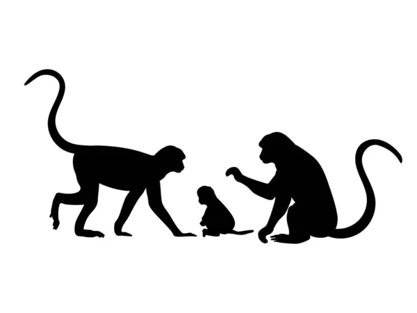 Monkey family. Silhouettes of animals — Stock Vector