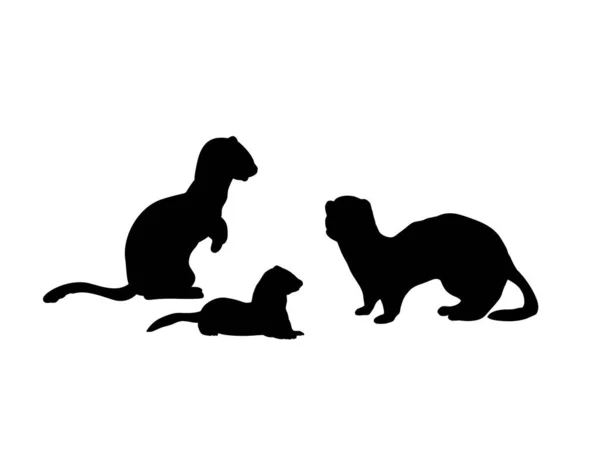 Ferrets family. Silhouettes of animals — ストックベクタ