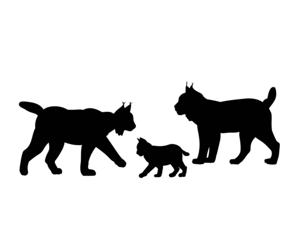 Familie der Luchse. Silhouetten Katzen Tiere — Stockvektor