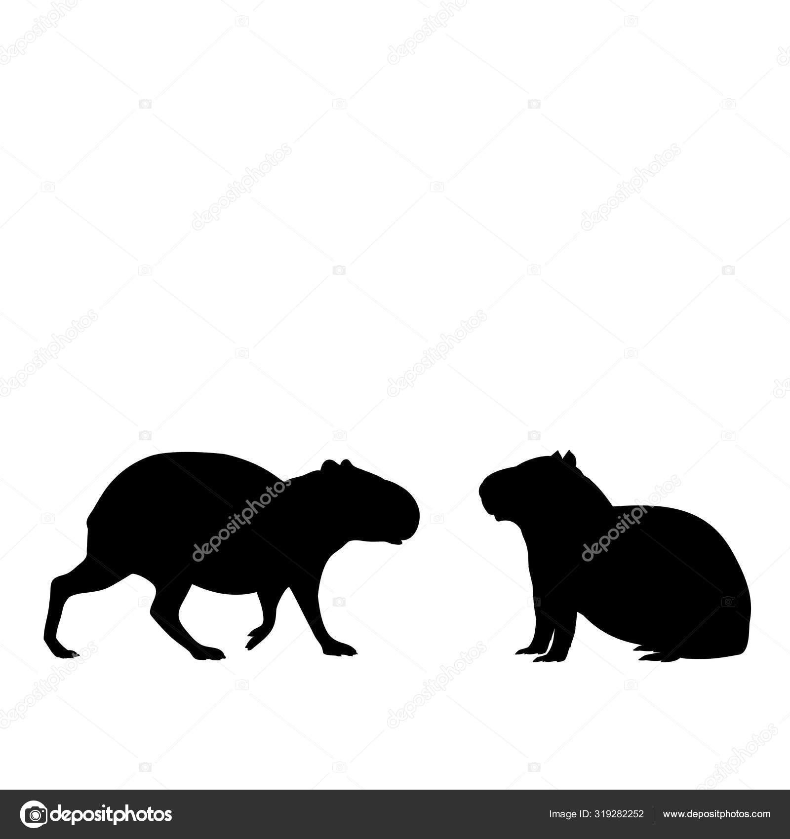 Design PNG E SVG De Capivara Carregando Filhotes Nas Costas Para