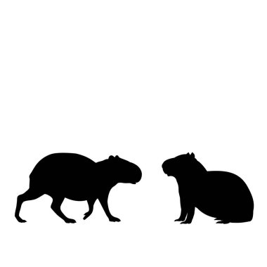 İki kapibaranın silueti. Capybara ailesi.