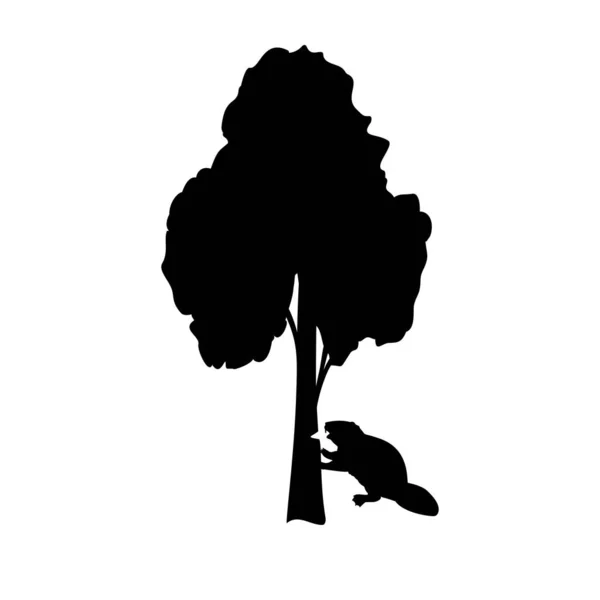 Η σιλουέτα του κάστορα ροκανίζει το δέντρο. Ζωικά είδη. — Διανυσματικό Αρχείο