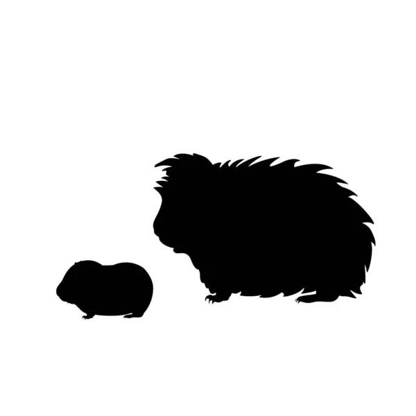 Silhouette of Guinea pig and young little Guinea pig — Stock Vector