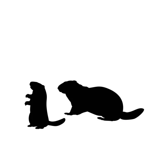 Silhouet Groundhog en jong klein marmot — Stockvector