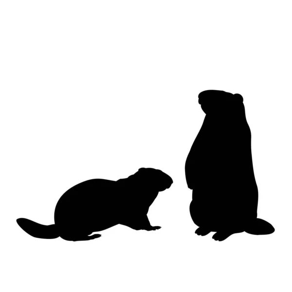 Silhouette of two Groundhog Marmot. Animals family — Stock Vector