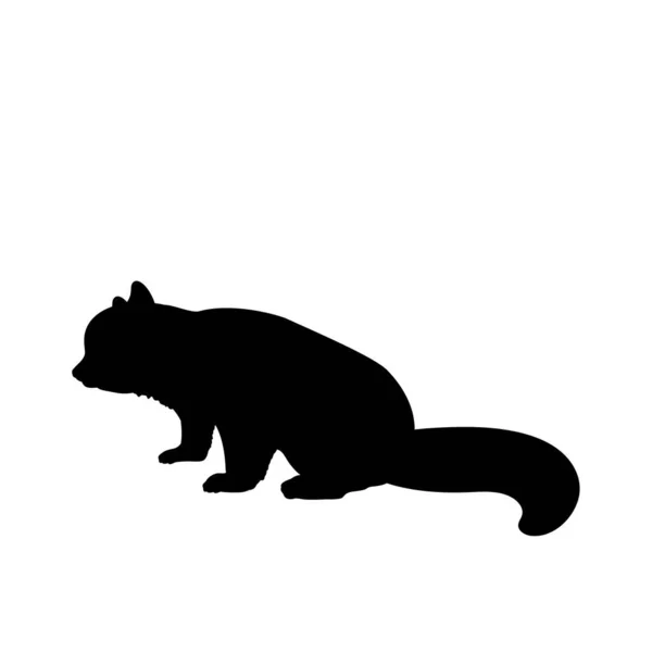 シルエットの小さな赤いパンダ。動物フェラインクマパンダファミリー — ストックベクタ