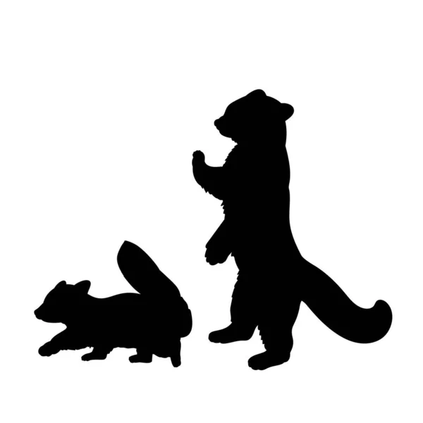 Silhouette des Roten Pandas und des kleinen Roten Pandas — Stockvektor