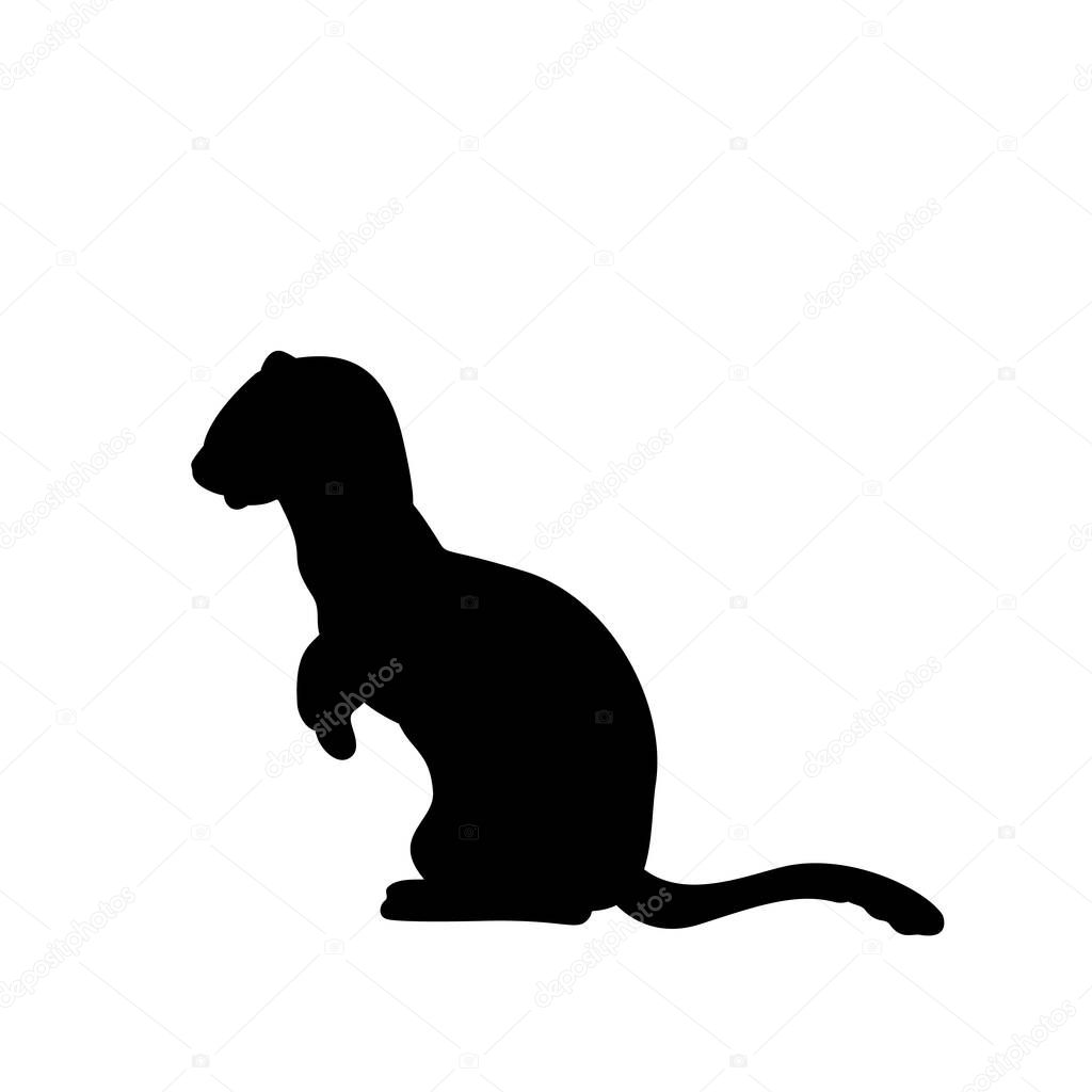 Weasel ferret silhouette. An animal of the marten family.