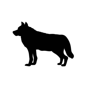 Silhouette of wolf. Animal forest wildlife.
