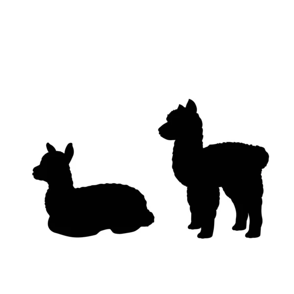 Silhouette von zwei kleinen Alpaka-Lamas — Stockvektor