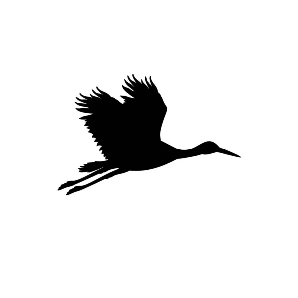 Silhouette des fliegenden Storchs. tierischer Vogel. — Stockvektor