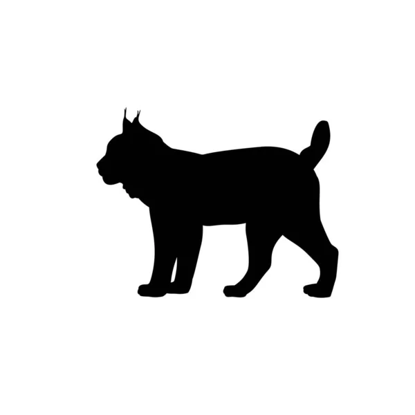 Animales de silueta de lince familia felina . — Vector de stock