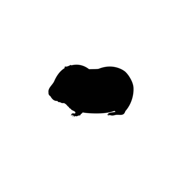 Silhouette young little Guinea pig. Cute young animal. — Stock Vector
