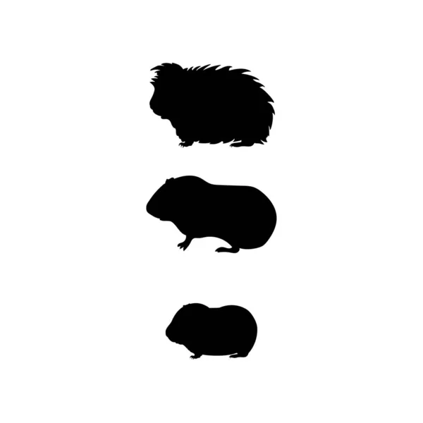 ギニア豚の家族。ペット動物のシルエット — ストックベクタ