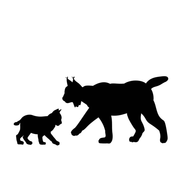 Silhouette von Luchs und jungem Luchs — Stockvektor