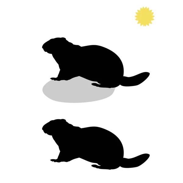 Día de la Marmota. La caída de la sombra predicción de primavera — Vector de stock