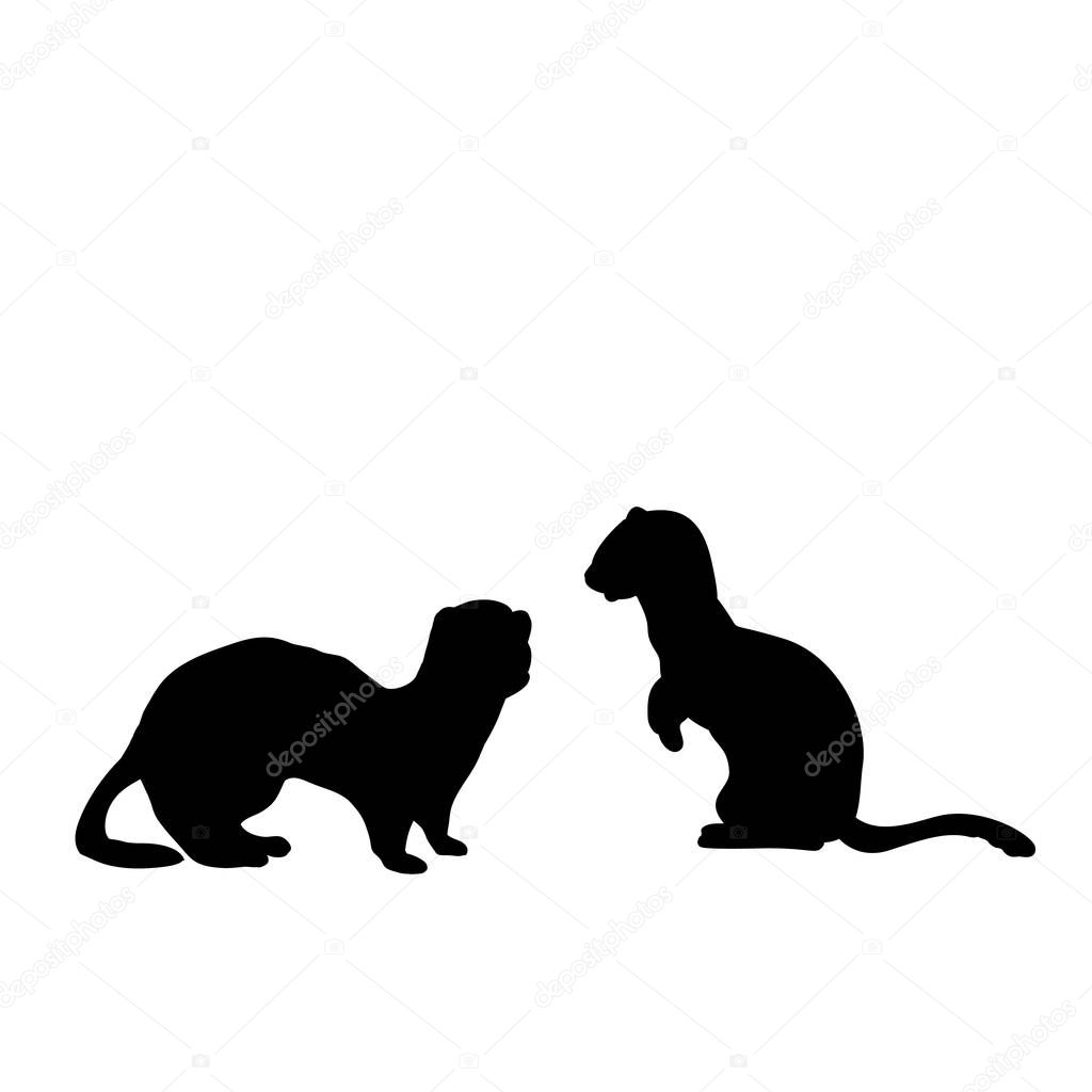 Silhouette of two Weasels and a ferret. An animal of the marten family.