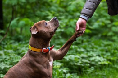 Kızıl Amerikan personeli teriyeri parkta yürüyor.