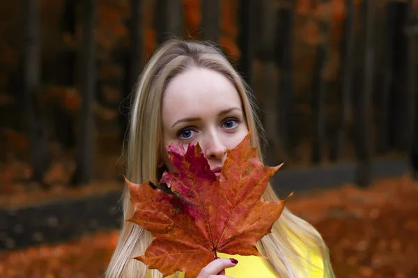 Krásná mladá dívka closeup s red maple Leaf v ruce v parku na podzim — Stock fotografie