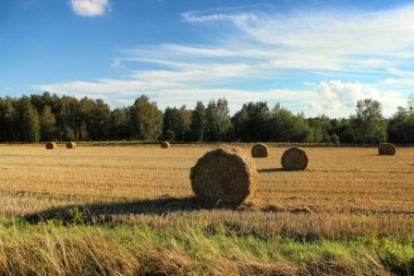 Köyde Hasattan sonraki haystacks alanıyla.