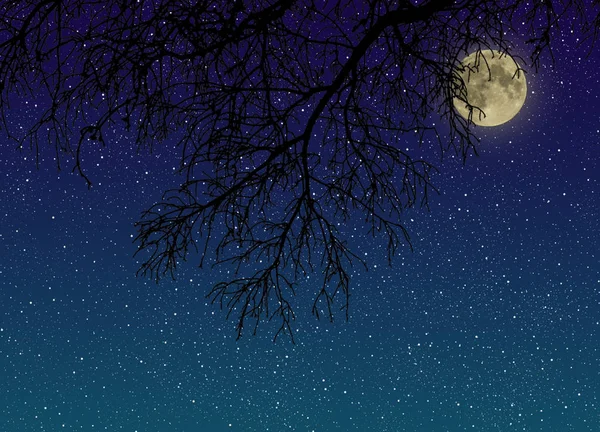 Cielo estrellado nocturno con luna llena detrás de ramas de árboles vista de cerca desde abajo . — Foto de Stock