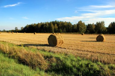 Köyde Hasattan sonraki haystacks alanıyla