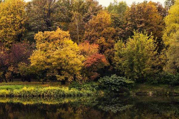 Parkta gölet yakınındaki renkli ağaçlar güzel sonbahar manzara
