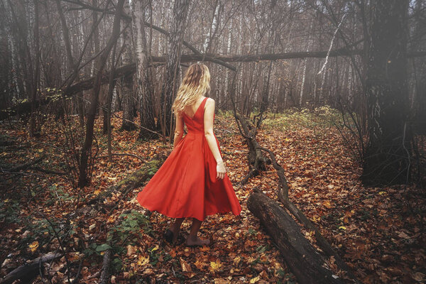 Young pretty woman in the red dress is walking in the foggy mystical forest with fallen leaves.