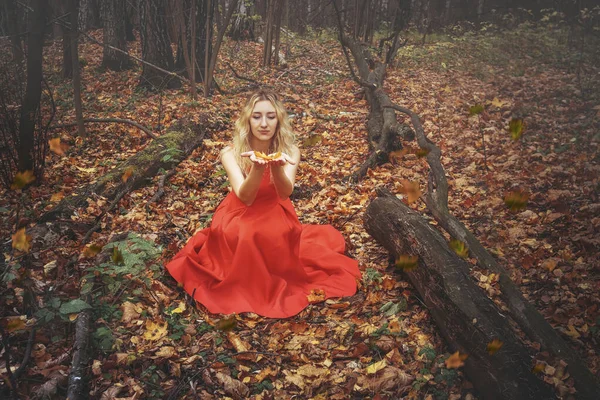 身穿红衣服的年轻漂亮的女人，背着落叶，走在雾蒙蒙的神秘森林里 — 图库照片