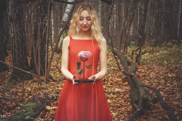 Jonge mooie vrouw in de rode jurk loopt in de mistige mystieke bos met gevallen bladeren — Stockfoto