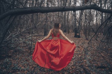 Uzun kırmızı elbiseli güzel kadın sisli ve gizemli ormanda yürüyor.